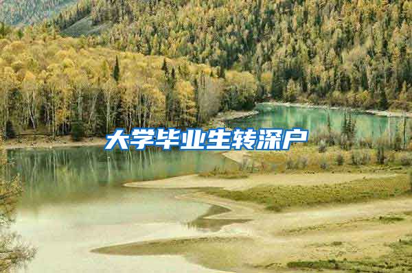 大学毕业生转深户