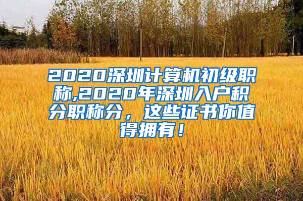 2020深圳计算机初级职称,2020年深圳入户积分职称分，这些证书你值得拥有！