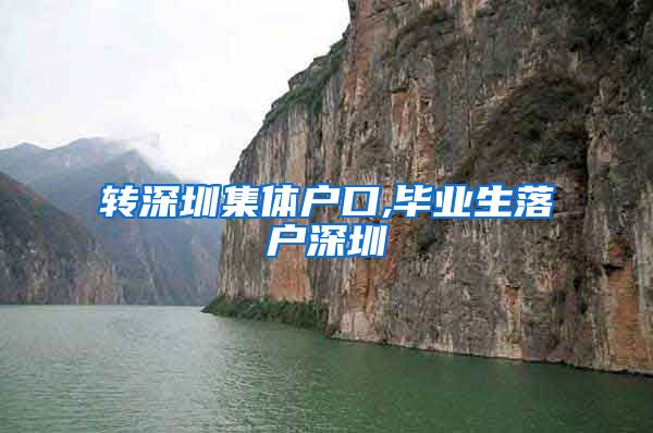 转深圳集体户口,毕业生落户深圳