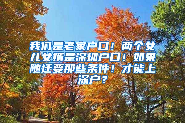 我们是老家户口！两个女儿女婿是深圳户口！如果随迁要那些条件！才能上深户？
