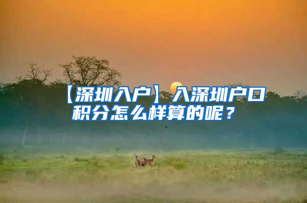 【深圳入户】入深圳户口积分怎么样算的呢？