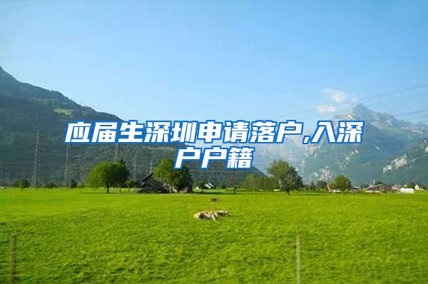 应届生深圳申请落户,入深户户籍