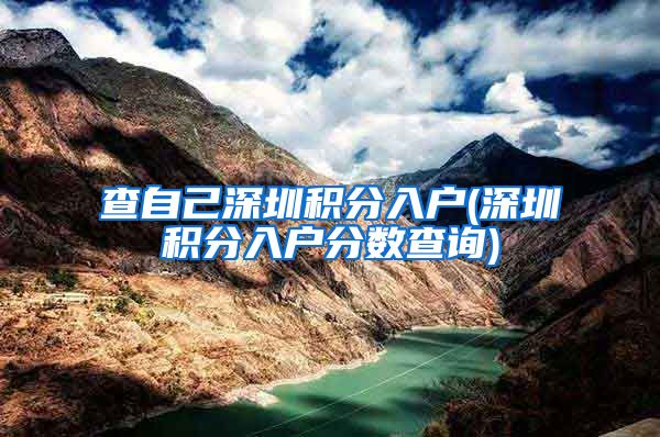 查自己深圳积分入户(深圳积分入户分数查询)