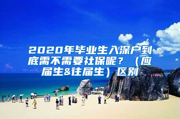 2020年毕业生入深户到底需不需要社保呢？（应届生&往届生）区别