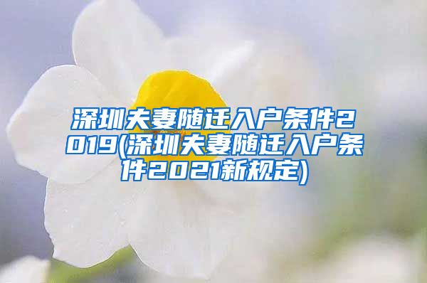 深圳夫妻随迁入户条件2019(深圳夫妻随迁入户条件2021新规定)