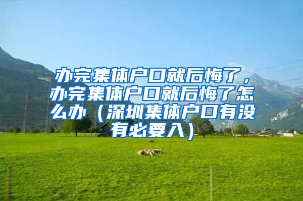 办完集体户口就后悔了，办完集体户口就后悔了怎么办（深圳集体户口有没有必要入）