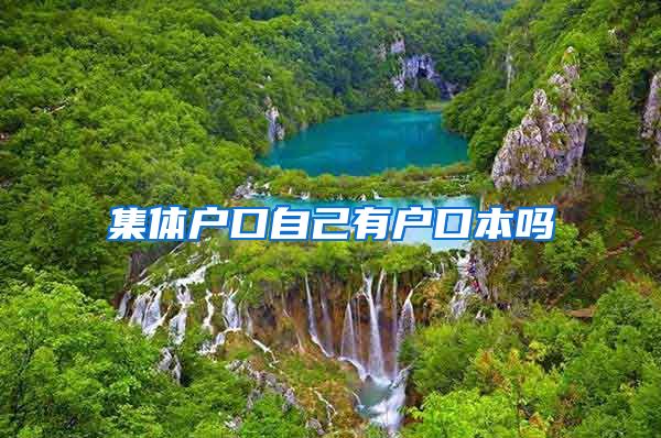 集体户口自己有户口本吗