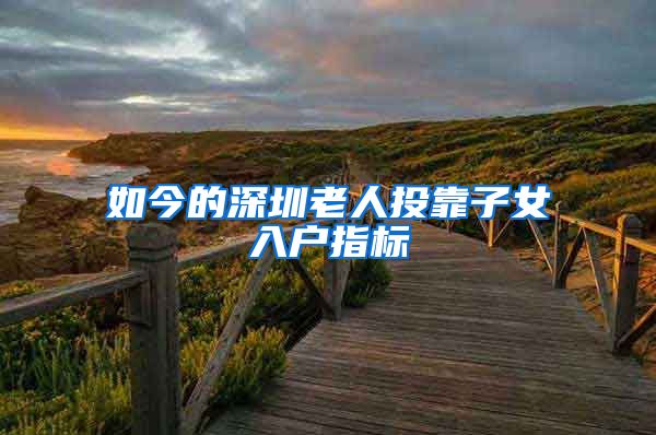 如今的深圳老人投靠子女入户指标