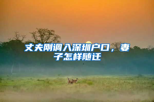 丈夫刚调入深圳户口，妻子怎样随迁