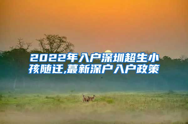 2022年入户深圳超生小孩随迁,蕞新深户入户政策