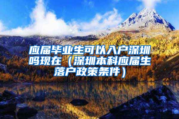 应届毕业生可以入户深圳吗现在（深圳本科应届生落户政策条件）