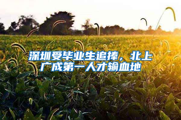深圳受毕业生追捧，北上广成第一人才输血地