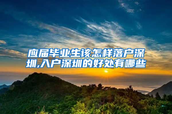 应届毕业生该怎样落户深圳,入户深圳的好处有哪些