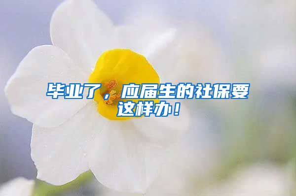 毕业了，应届生的社保要这样办！