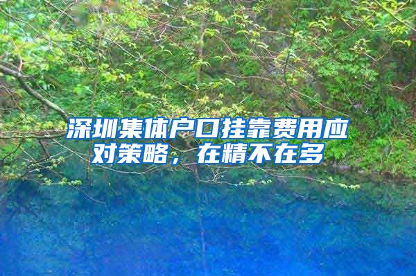 深圳集体户口挂靠费用应对策略，在精不在多