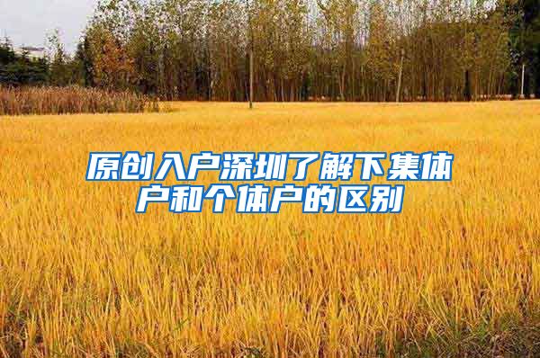 原创入户深圳了解下集体户和个体户的区别