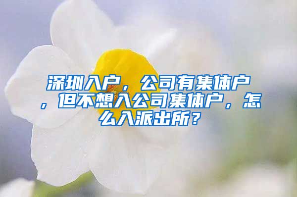 深圳入户，公司有集体户，但不想入公司集体户，怎么入派出所？