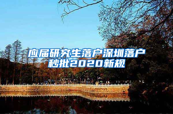应届研究生落户深圳落户秒批2020新规