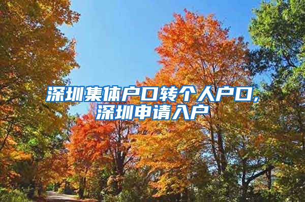 深圳集体户口转个人户口,深圳申请入户