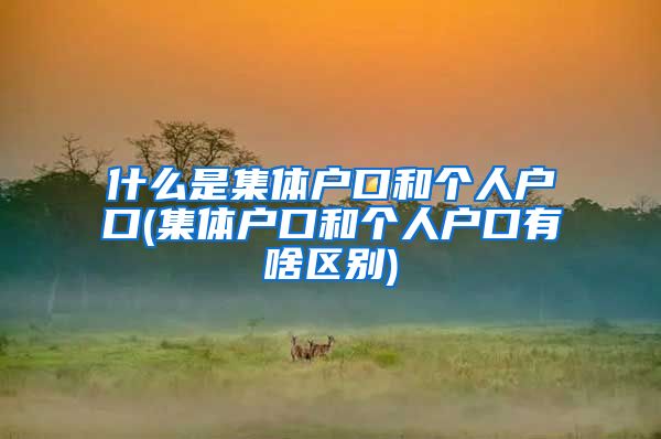什么是集体户口和个人户口(集体户口和个人户口有啥区别)