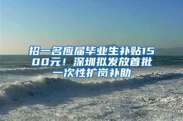 招一名应届毕业生补贴1500元！深圳拟发放首批一次性扩岗补助