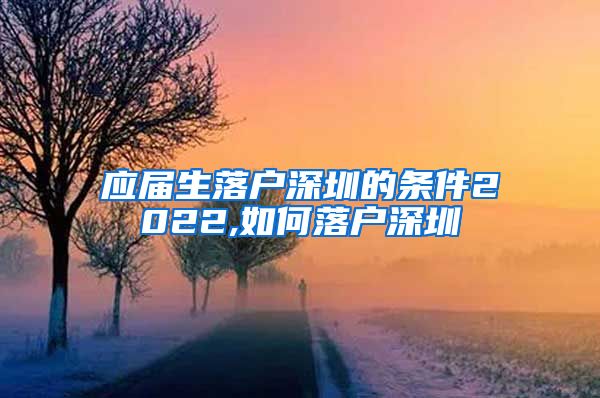 应届生落户深圳的条件2022,如何落户深圳