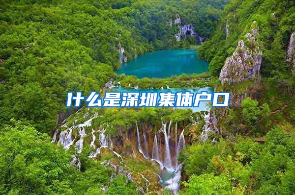 什么是深圳集体户口
