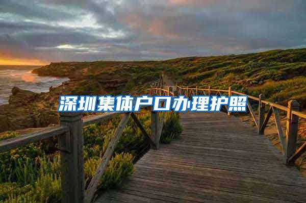 深圳集体户口办理护照