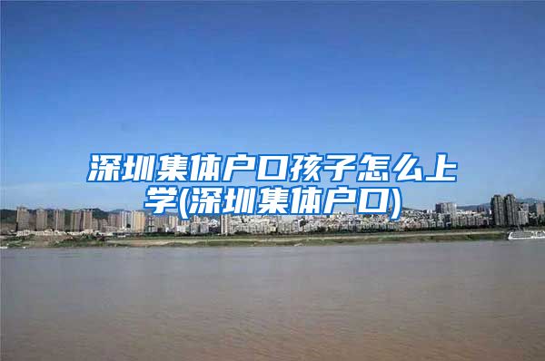 深圳集体户口孩子怎么上学(深圳集体户口)