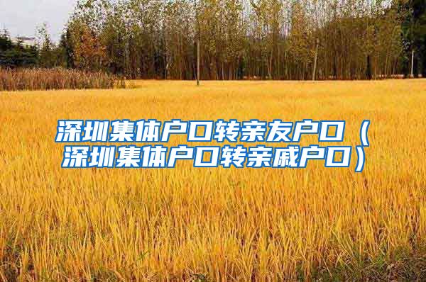 深圳集体户口转亲友户口（深圳集体户口转亲戚户口）