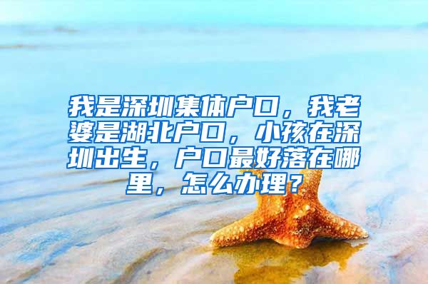 我是深圳集体户口，我老婆是湖北户口，小孩在深圳出生，户口最好落在哪里，怎么办理？