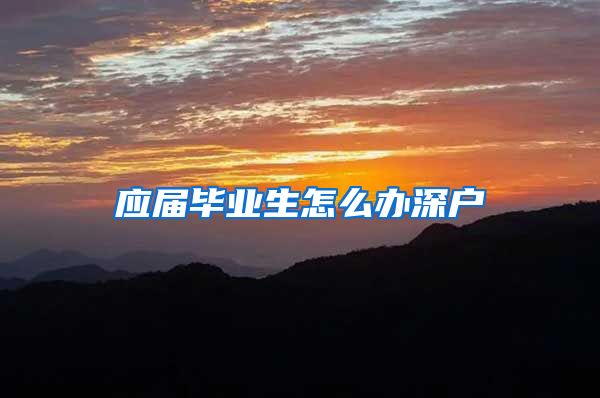 应届毕业生怎么办深户