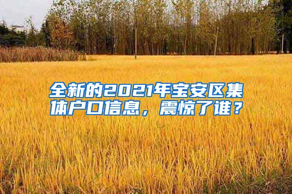 全新的2021年宝安区集体户口信息，震惊了谁？