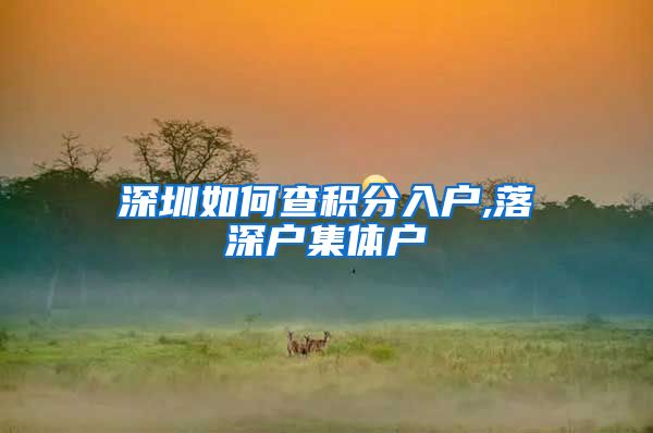 深圳如何查积分入户,落深户集体户