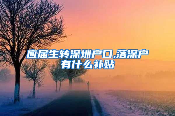 应届生转深圳户口,落深户有什么补贴