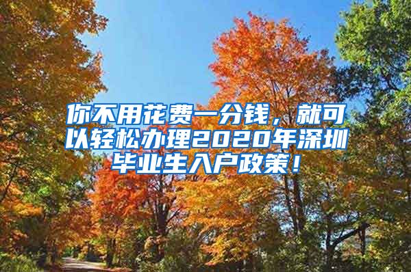 你不用花费一分钱，就可以轻松办理2020年深圳毕业生入户政策！
