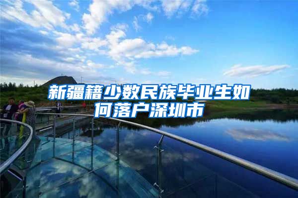 新疆籍少数民族毕业生如何落户深圳市