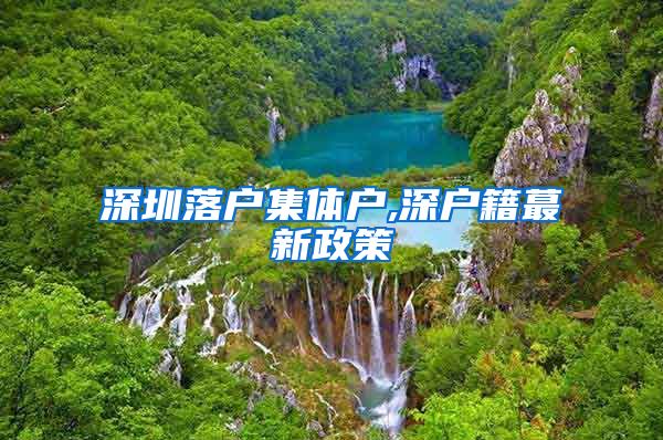 深圳落户集体户,深户籍蕞新政策