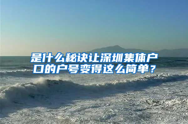 是什么秘诀让深圳集体户口的户号变得这么简单？