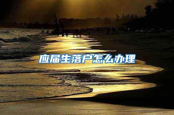 应届生落户怎么办理