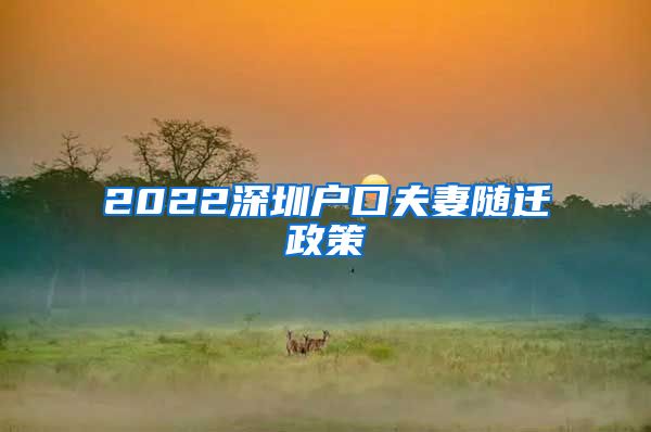 2022深圳户口夫妻随迁政策