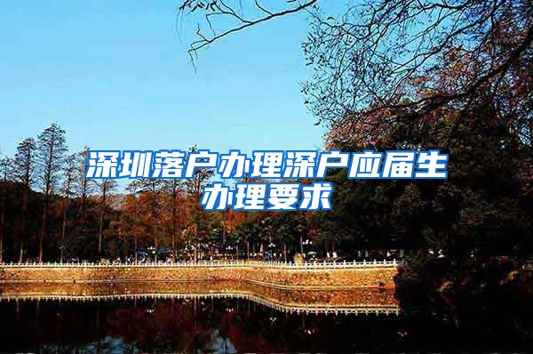 深圳落户办理深户应届生办理要求
