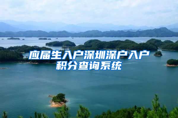 应届生入户深圳深户入户积分查询系统
