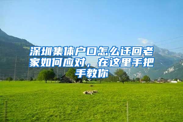 深圳集体户口怎么迁回老家如何应对，在这里手把手教你