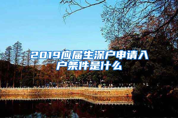 2019应届生深户申请入户条件是什么
