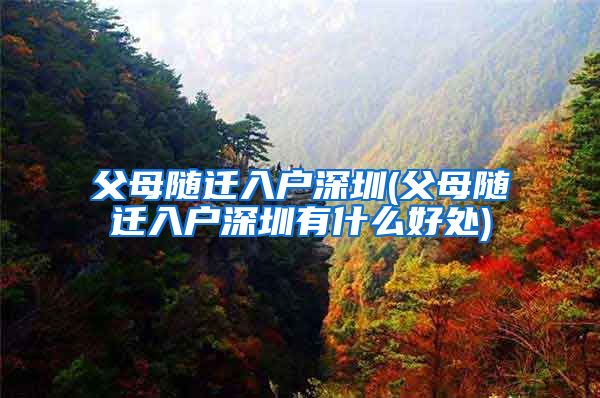 父母随迁入户深圳(父母随迁入户深圳有什么好处)