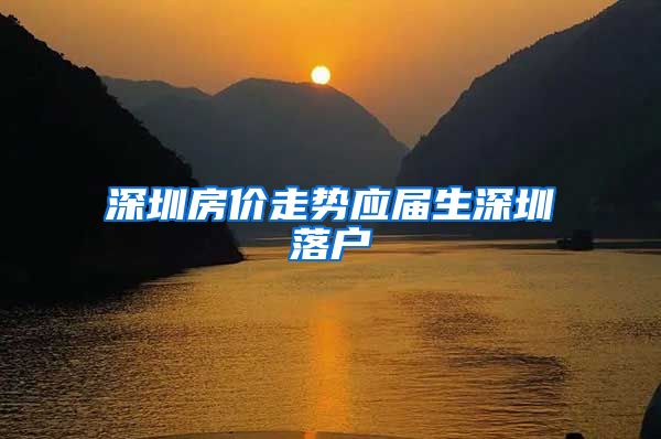 深圳房价走势应届生深圳落户