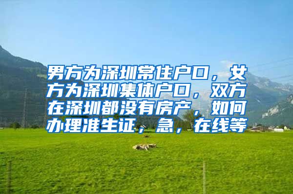 男方为深圳常住户口，女方为深圳集体户口，双方在深圳都没有房产，如何办理准生证，急，在线等