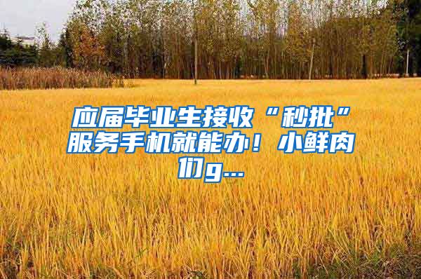 应届毕业生接收“秒批”服务手机就能办！小鲜肉们g...