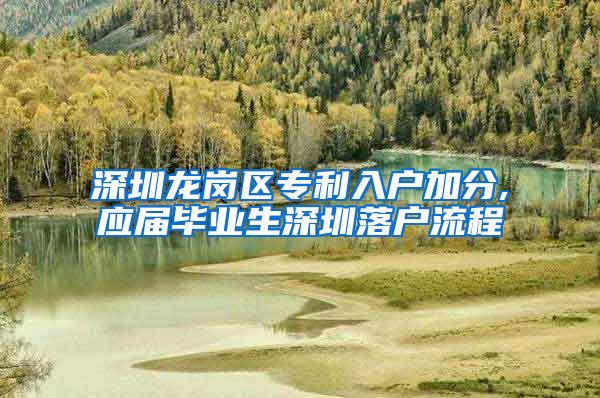 深圳龙岗区专利入户加分,应届毕业生深圳落户流程